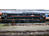 33103 at BM TRSMD.