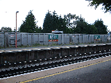 Mendip stone train.