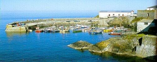 Coverack harbour less than 100 yard away