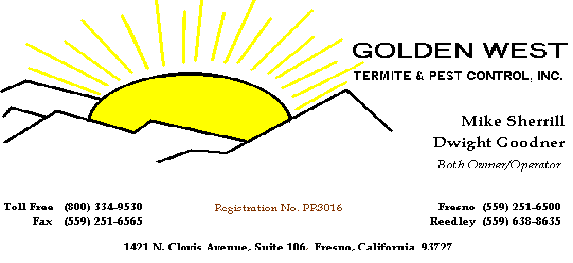 Our Company Business Card