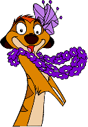 ���� ���� �������