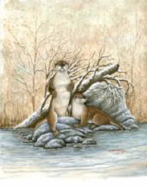 Winter Break - AN-WB