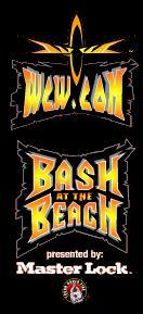 bashatbeach.jpg (11733 bytes)