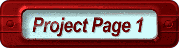 Project Page 1