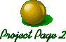 Project Page 2