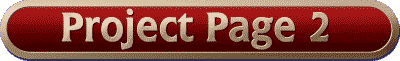 Project Page 2