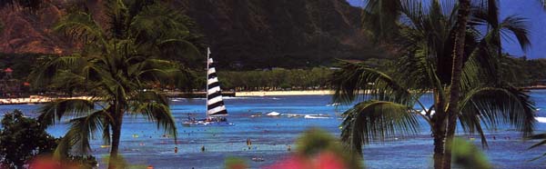 sail.jpg (29888 bytes)