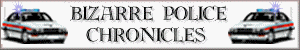 Welcome to Bizarre Police Chronicles