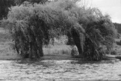 laneA.jpg (13822 bytes)