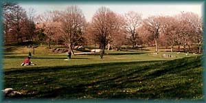 park.jpg (13226 bytes)