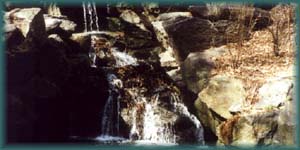 park2.jpg (12409 bytes)