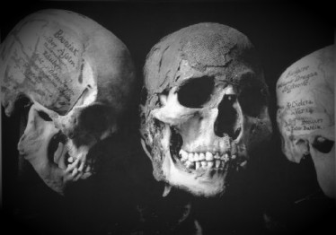 skulls.jpg (21146 bytes)