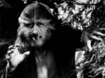 werewolf3.jpg (10977 bytes)
