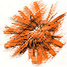 Razni oblici zivota - KLIKNI!