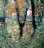 n-35.JPG (6708 �Ӧ줸��)