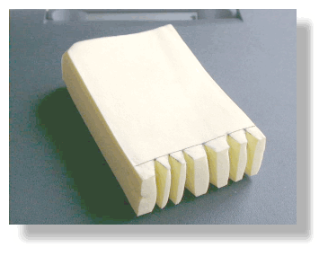 saugw2.gif (38088 bytes)