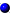 bluebullet.gif (322 bytes)