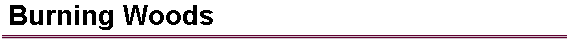  Burning Woods 