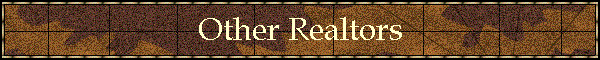 Other Realtors