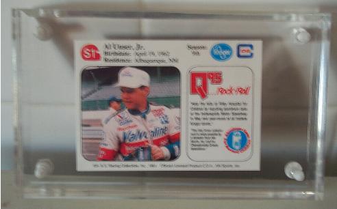 al1.JPG (20745 bytes)