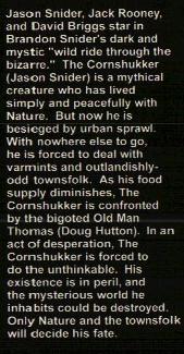 cssummary.JPG (21423 bytes)