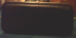 saxcase.JPG (4280 bytes)