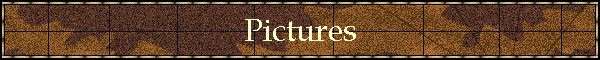 Pictures