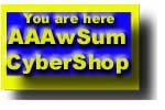 aaacybershop.jpg (5579 bytes)