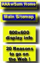 aaaminimapaddon.jpg (17100 bytes)