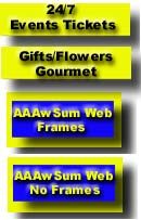 aaaminimapaddon1.jpg (16912 bytes)