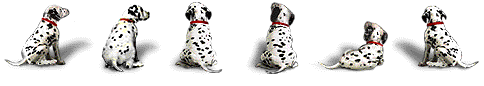 dalmations.gif (56178 bytes)