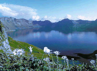 ��λ�������ΰ��ϴ�.