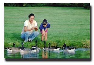 Keep used oil away from our marine wildlife