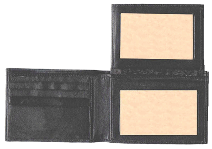 Js_p3 .gif (50507 bytes)