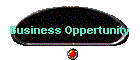 Business Oppertunity