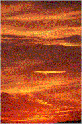 suncloud.gif (18580 �ֽ�)