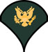 SPC_MALE.jpg (2910 bytes)