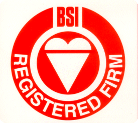 bsiaward3.gif (27903 bytes)