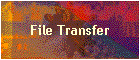 File Transfer