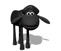 sheep.jpg (3511 bytes)