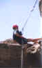 TNAbseil2.jpg (2585 bytes)