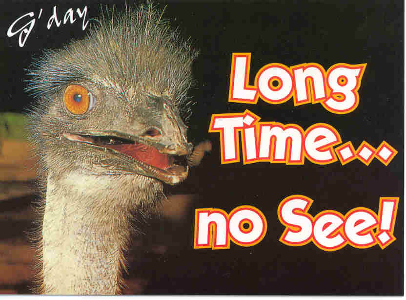 emu.jpg (43022 bytes)