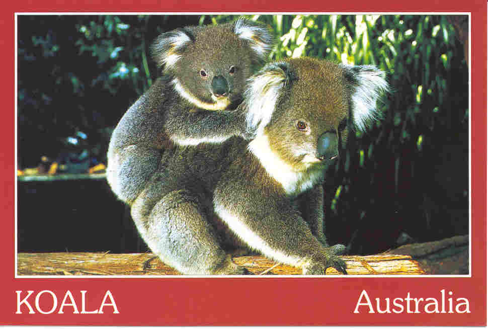 mumbaby.jpg (42506 bytes)