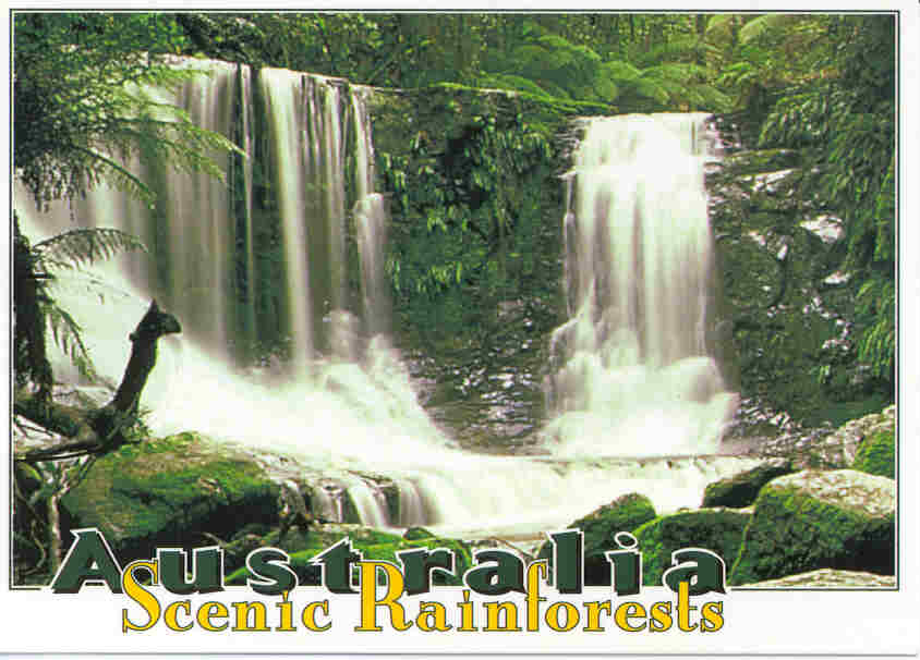 rainforestaust.jpg (43707 bytes)