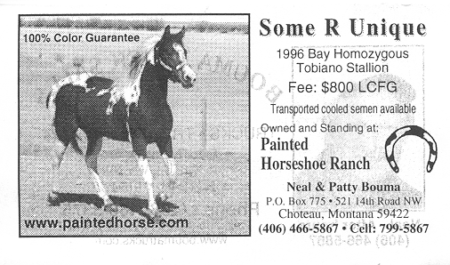 Some R Unique Business Card