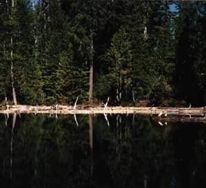 Babyfoot Lake the first stop on the hike in