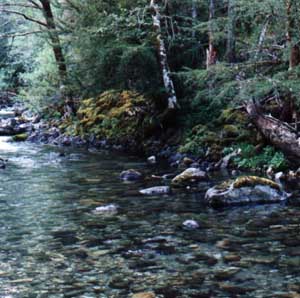 The Little Chetco River