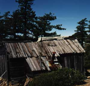 Miners Cabin on the old miner's road to the Little Chetco River