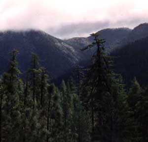 The view from Bailey Peak