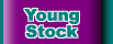 Click to see our exuberent young stock.